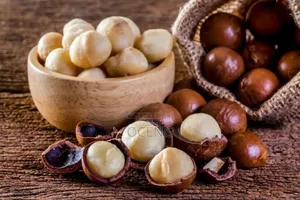 Macadamia Nut Seedlings
