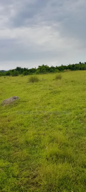 100 Acres of Farmland for Sale in Kiboga 10m Each
