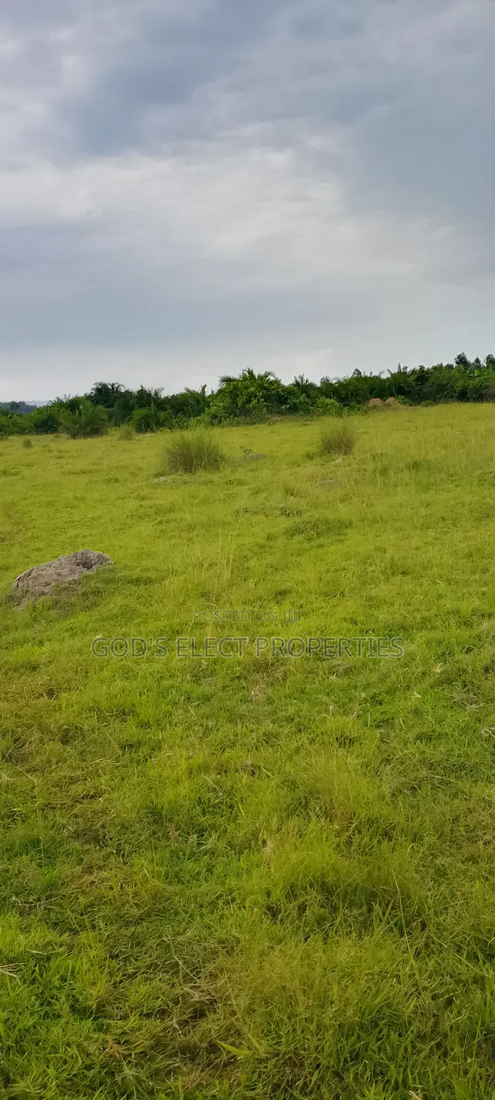 100 Acres of Farmland for Sale in Kiboga 10m Each