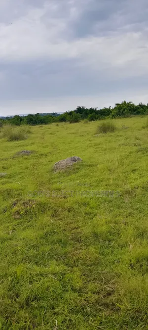 100 Acres of Farmland for Sale in Kiboga 10m Each