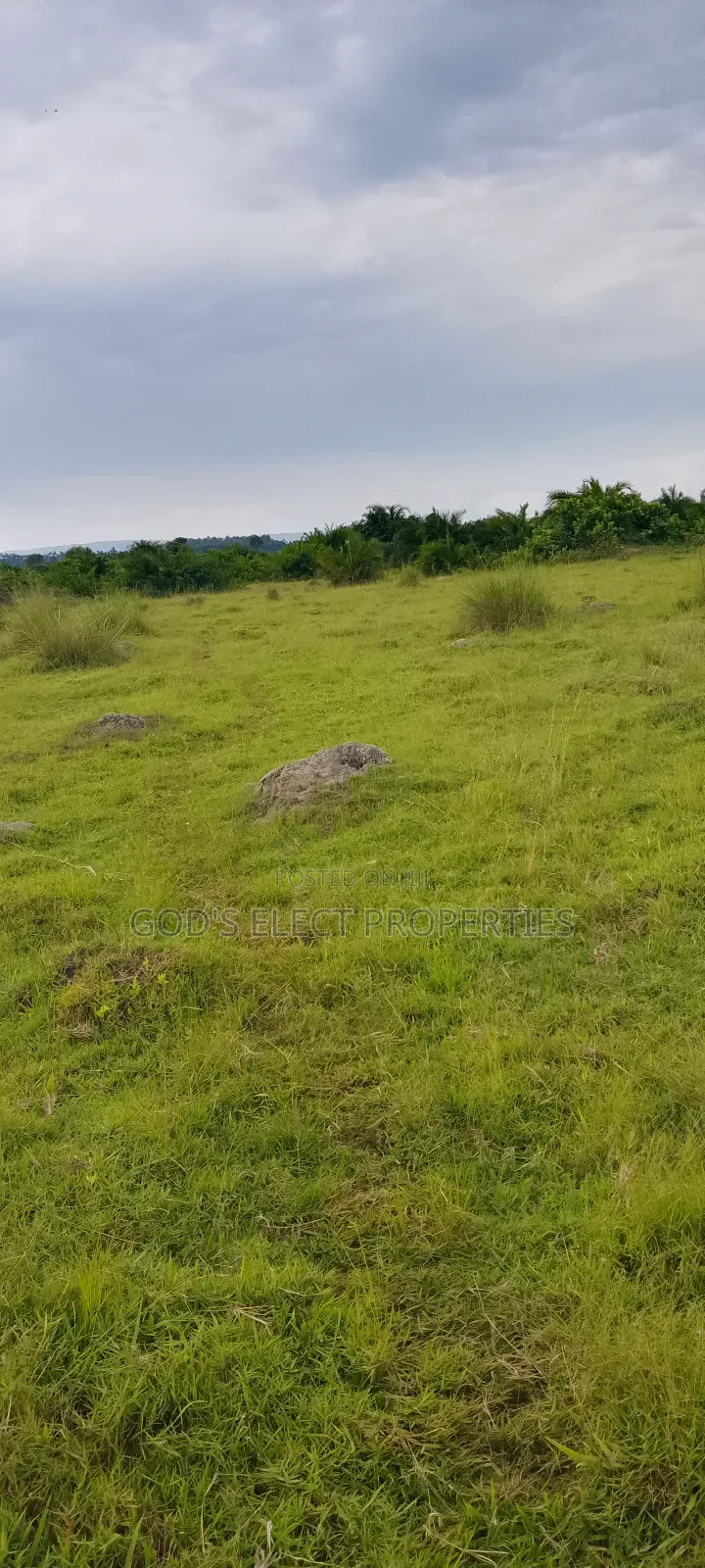 100 Acres of Farmland for Sale in Kiboga 10m Each