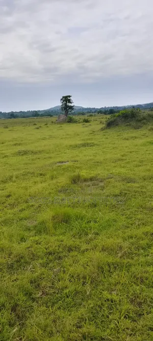 100 Acres of Farmland for Sale in Kiboga 10m Each