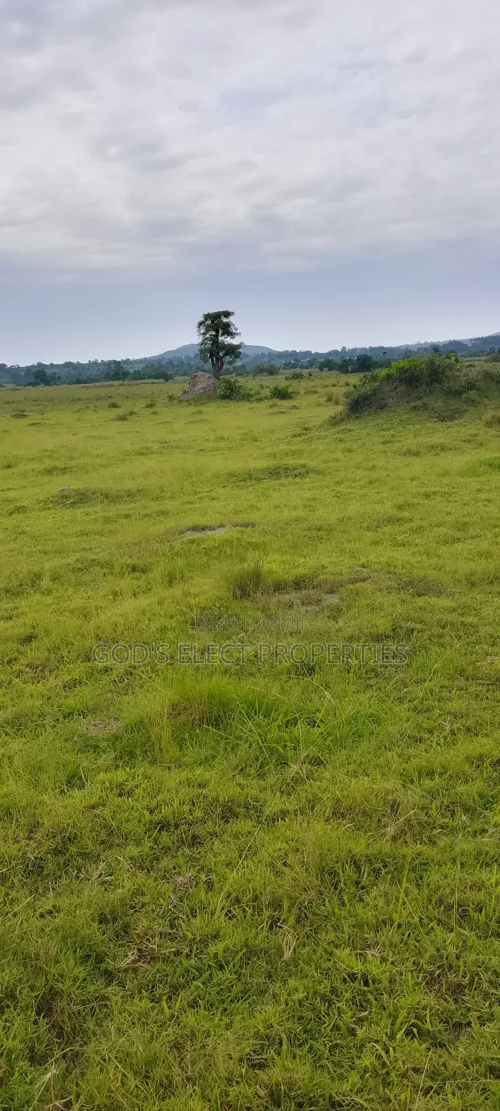100 Acres of Farmland for Sale in Kiboga 10m Each