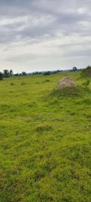100 Acres of Farmland for Sale in Kiboga 10m Each