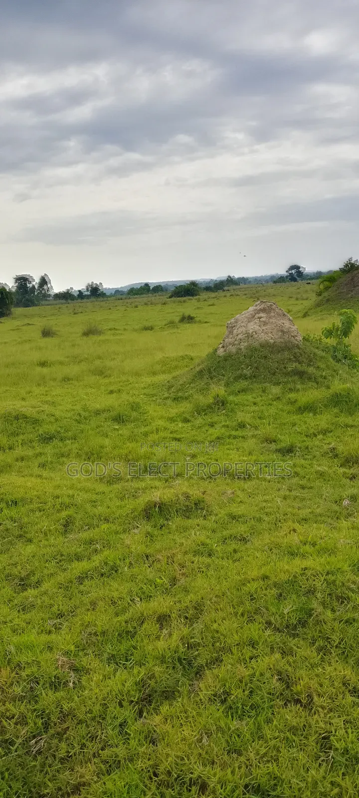 100 Acres of Farmland for Sale in Kiboga 10m Each