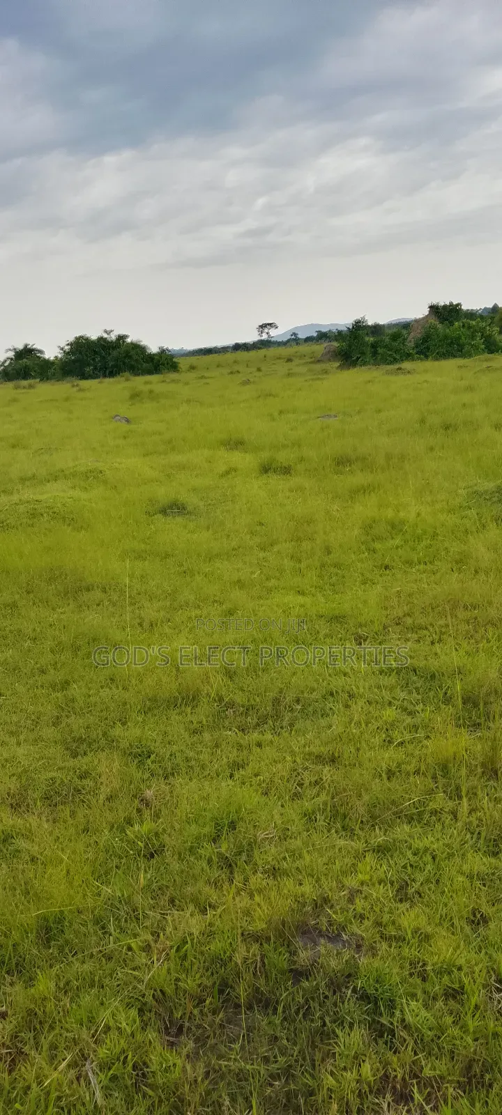 100 Acres of Farmland for Sale in Kiboga 10m Each