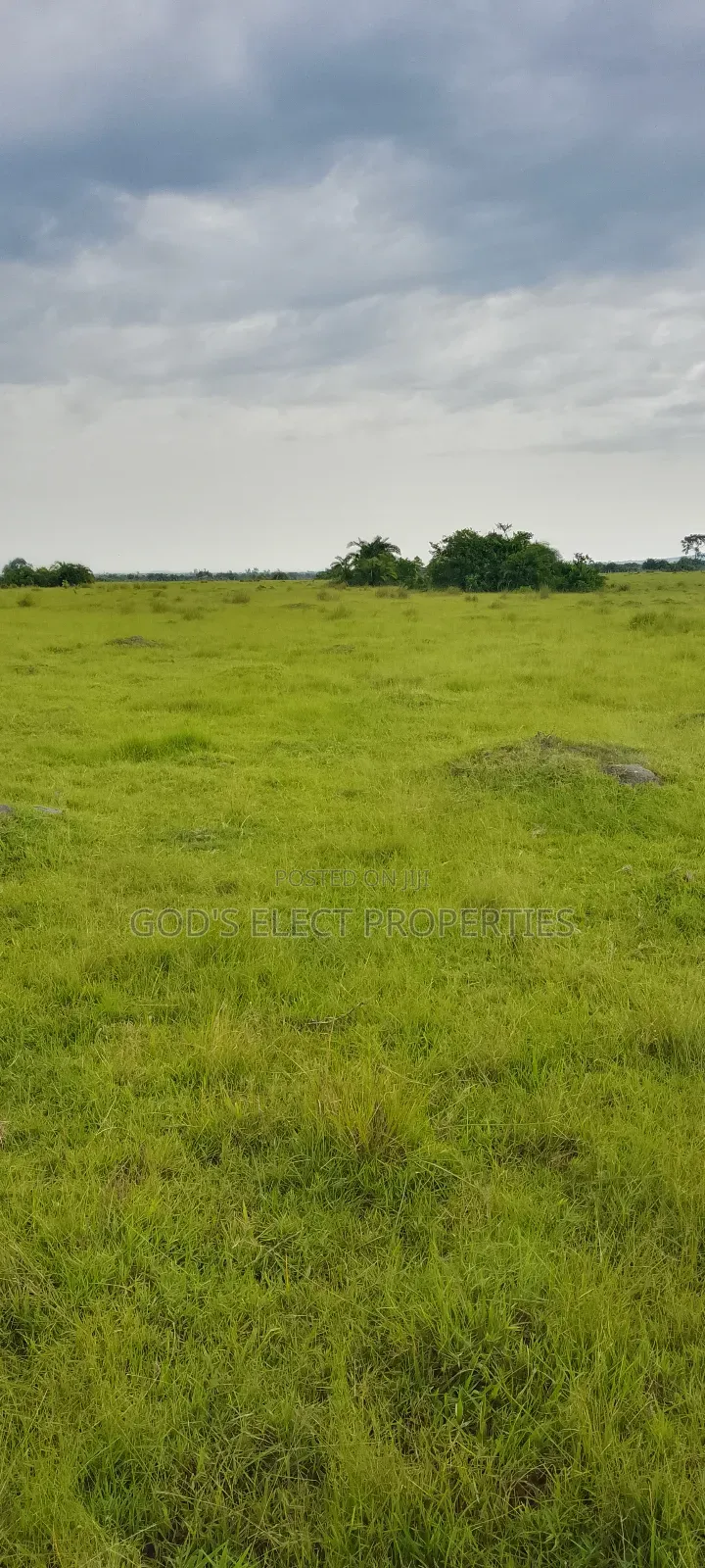 100 Acres of Farmland for Sale in Kiboga 10m Each