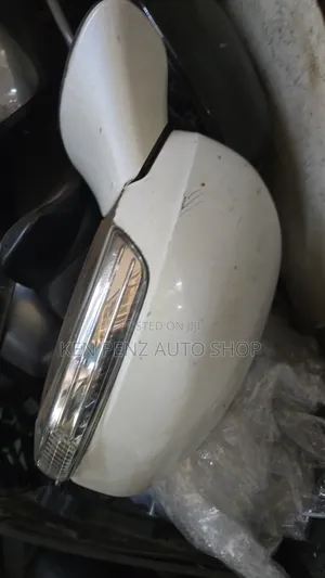 Mark X 2010 Sidemirror