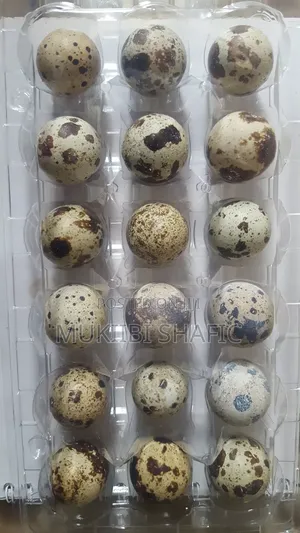Quail Eggs