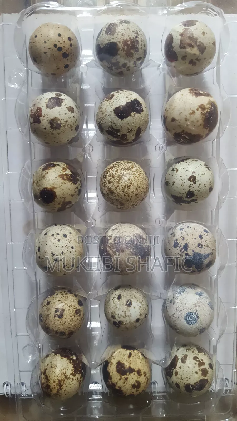 Quail Eggs