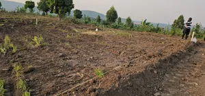 Am Challenging You That 2 M Ugx Can Get a Plot of Land at Kakiri
