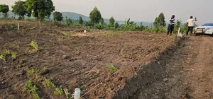 Am Challenging You That 2 M Ugx Can Get a Plot of Land at Kakiri