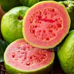 Pink Peruvian Guava- Seedlings