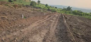 Only 3 M Ugx Grab A Feature Business Plot At Kakiri Gobero