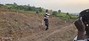 Only 5 Plots Still Stand Up For Sale At Gobero