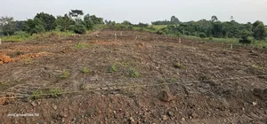 Only 5 Plots Still Stand Up For Sale At Gobero