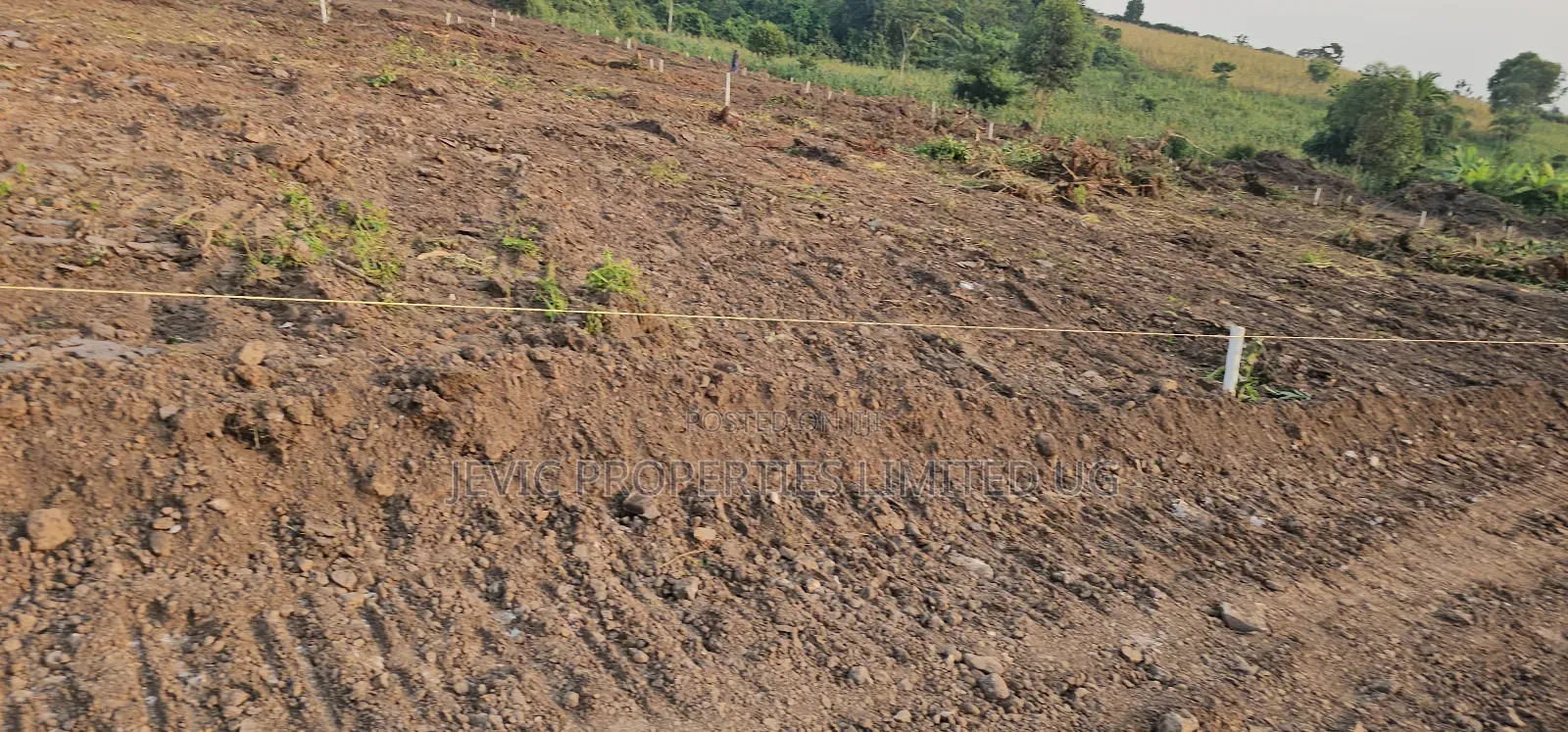 Only 5 Plots Still Stand Up For Sale At Gobero