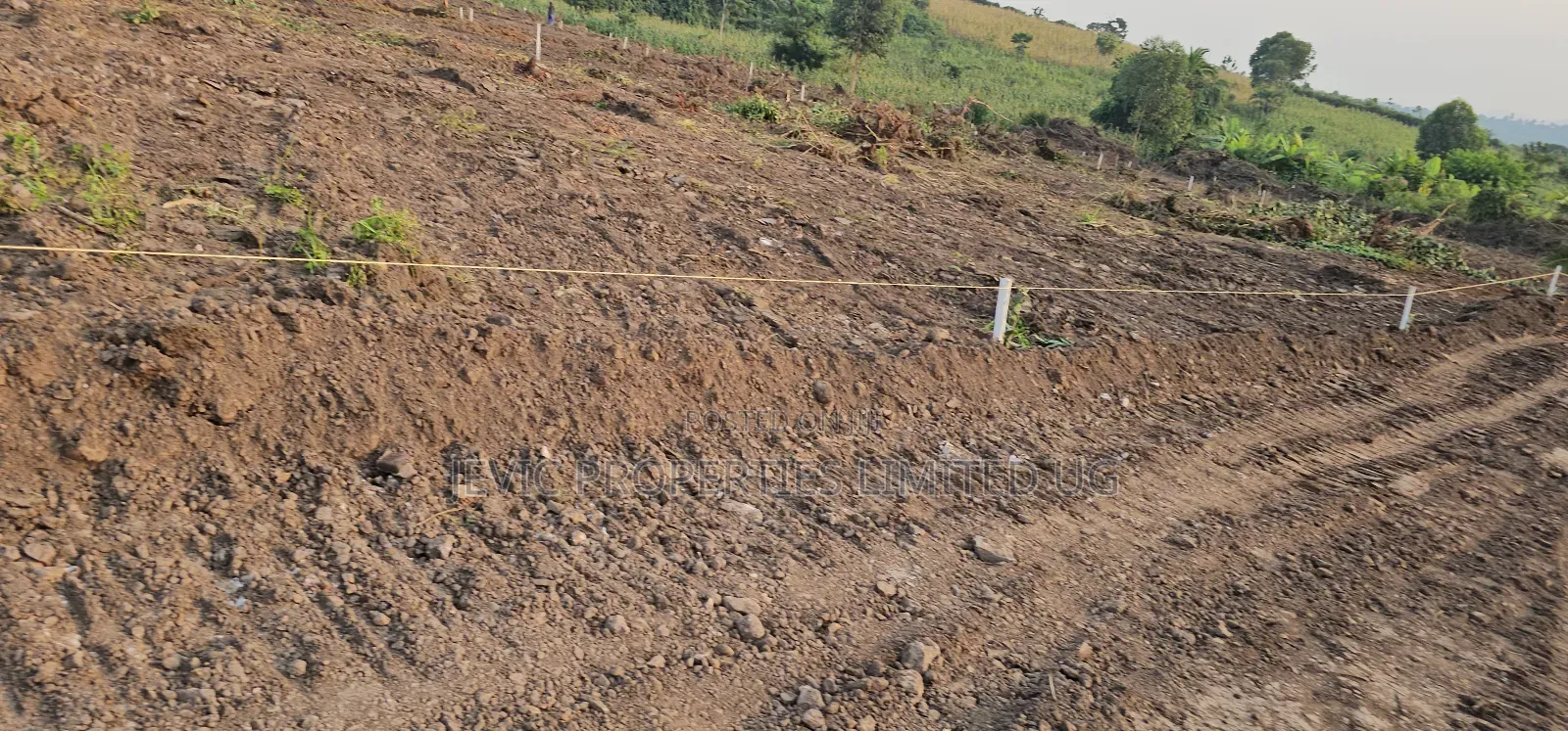 Only 5 Plots Still Stand Up For Sale At Gobero