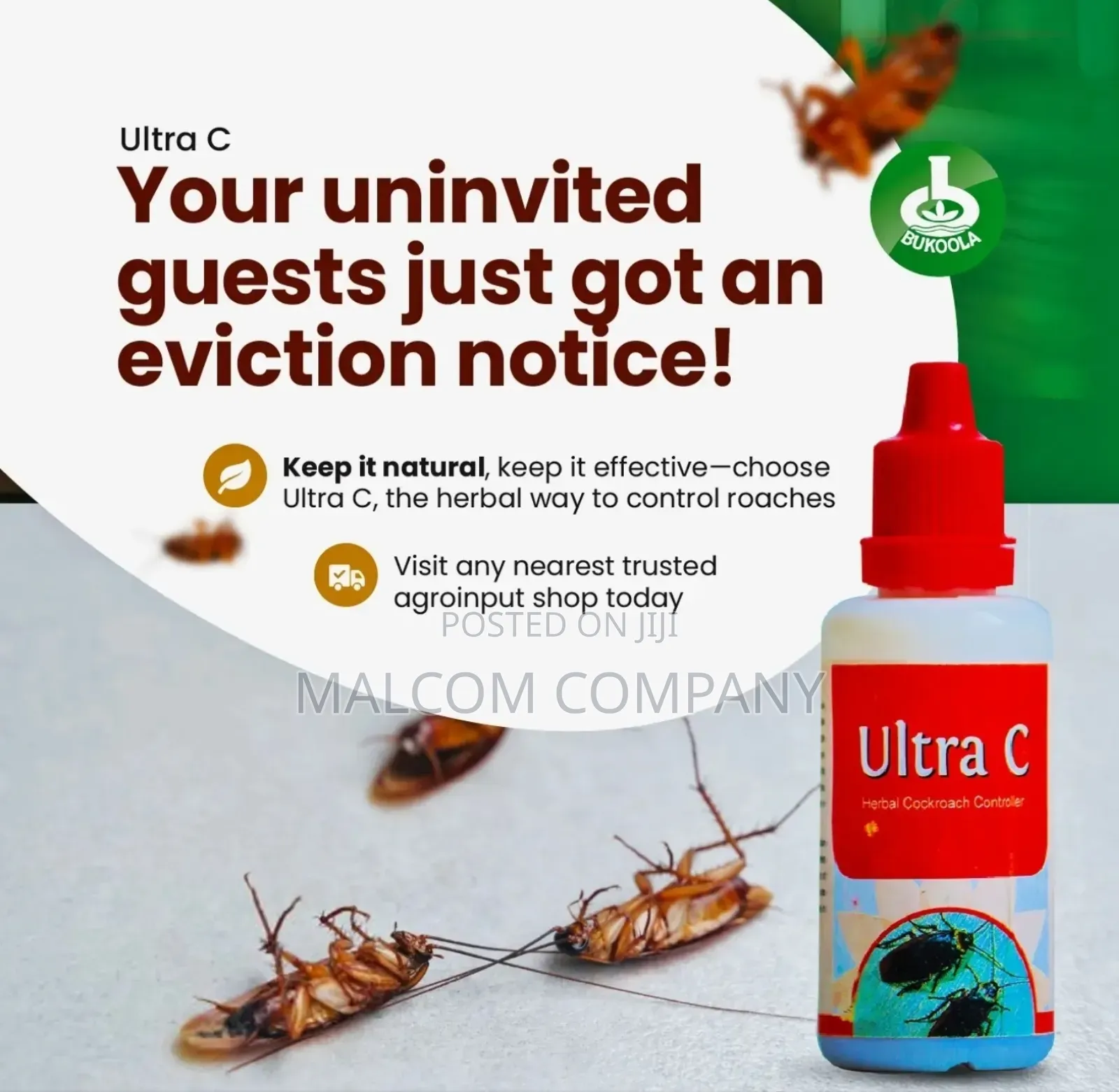 Permanent Elimination of Cockroaches