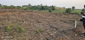 Reliable Genuine Agreement Plots For Sale At Wakiso Kakiri