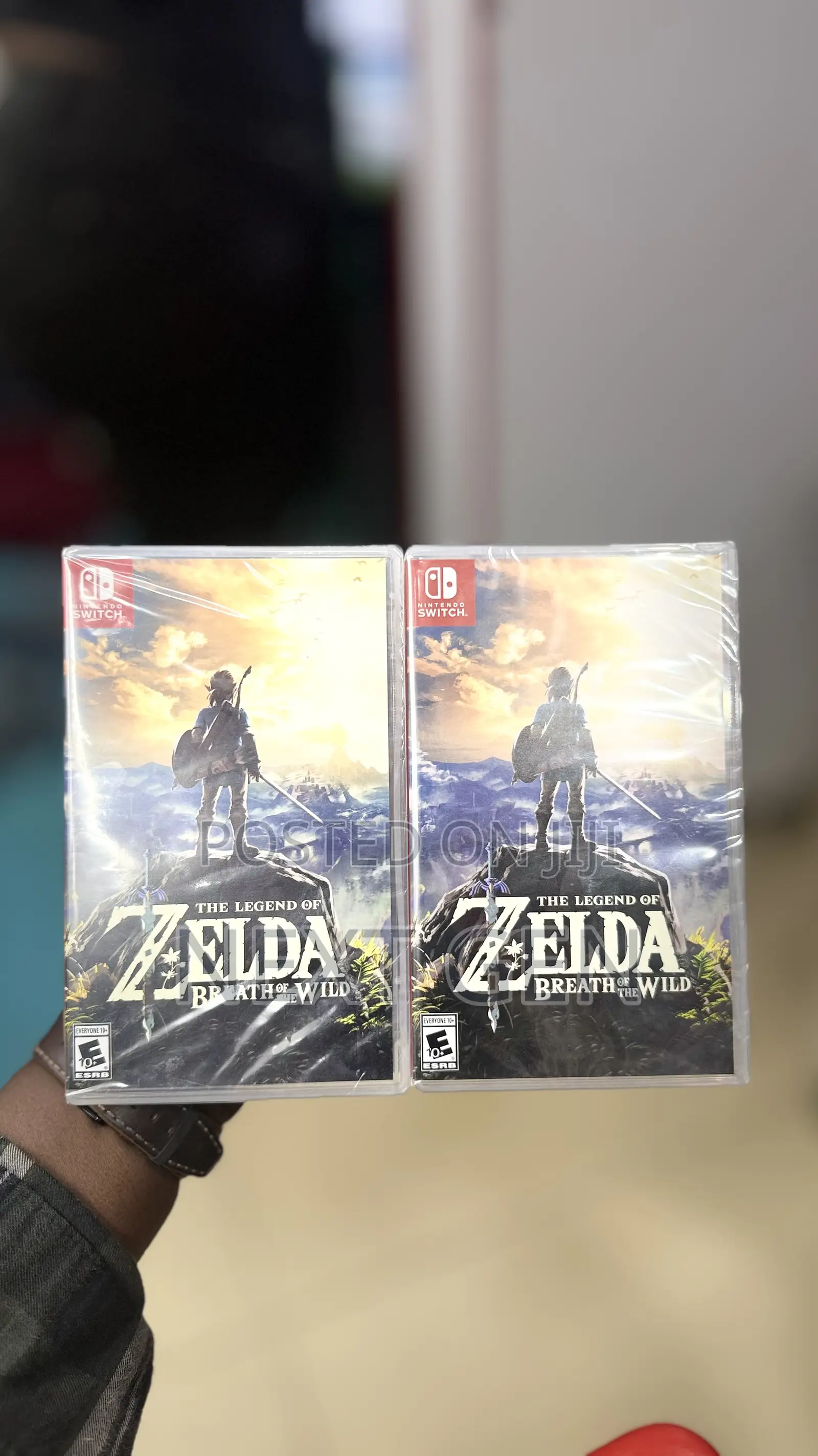 The Legend of Zelda Breath of the Wild