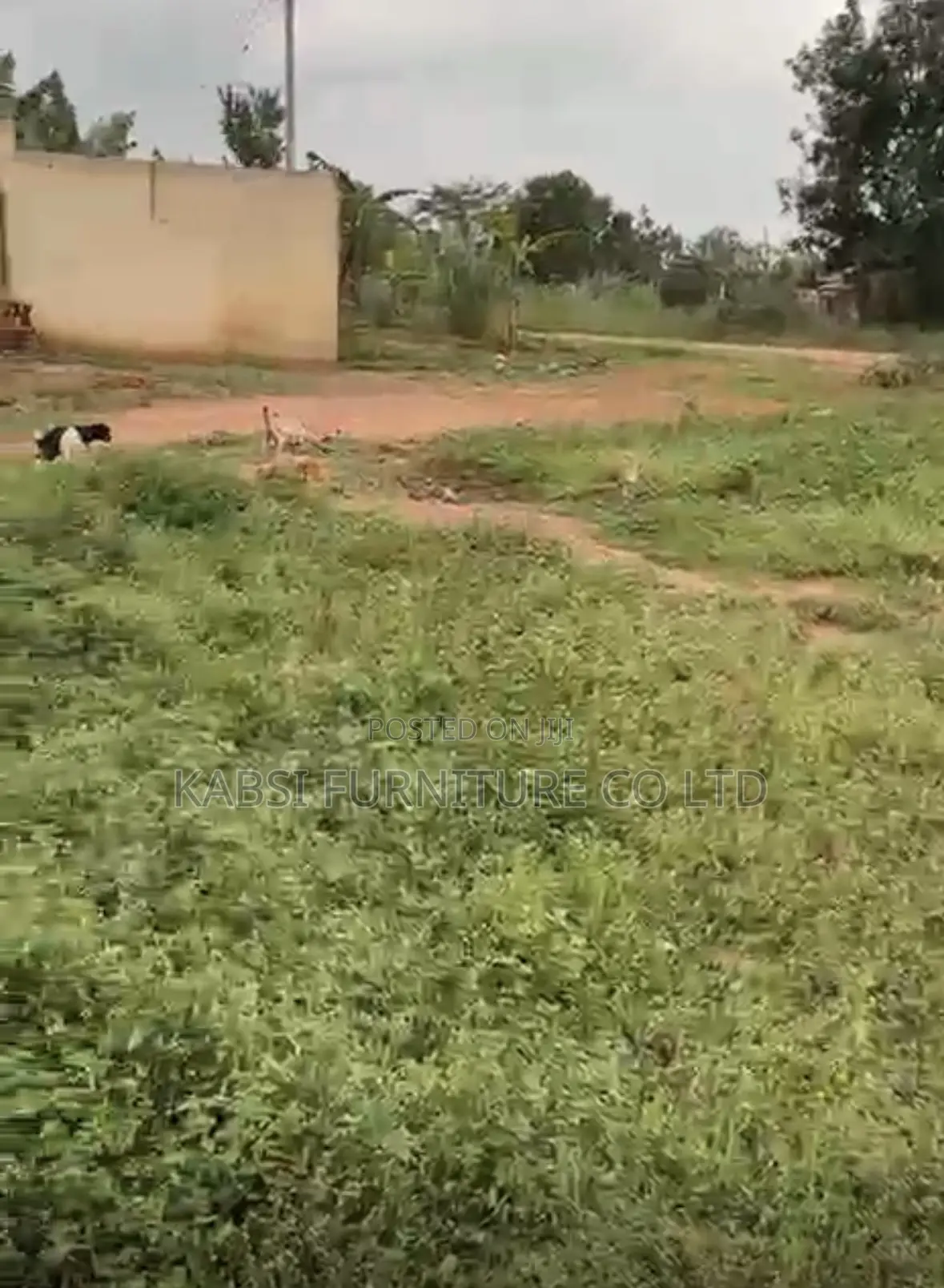 Plot for Sale in Nalusugga Kasangati Town Council