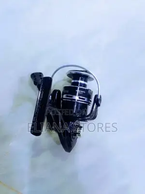3000 Spinning Fishing Reel