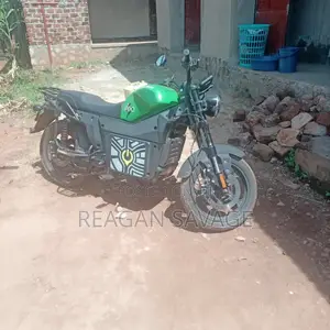 Bajaj Boxer 100 2024 Green