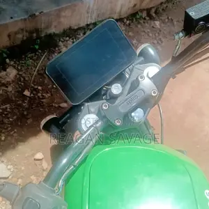 Bajaj Boxer 100 2024 Green