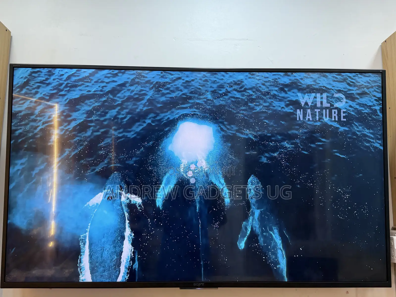 Sony Bravia 65-Inch Android Smart Tv