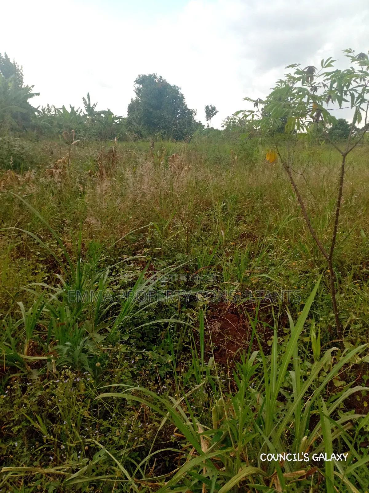 3 Acres for Sale With Ready Land Title on Ground
