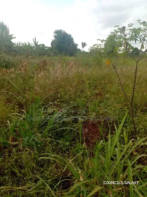 3 Acres for Sale With Ready Land Title on Ground
