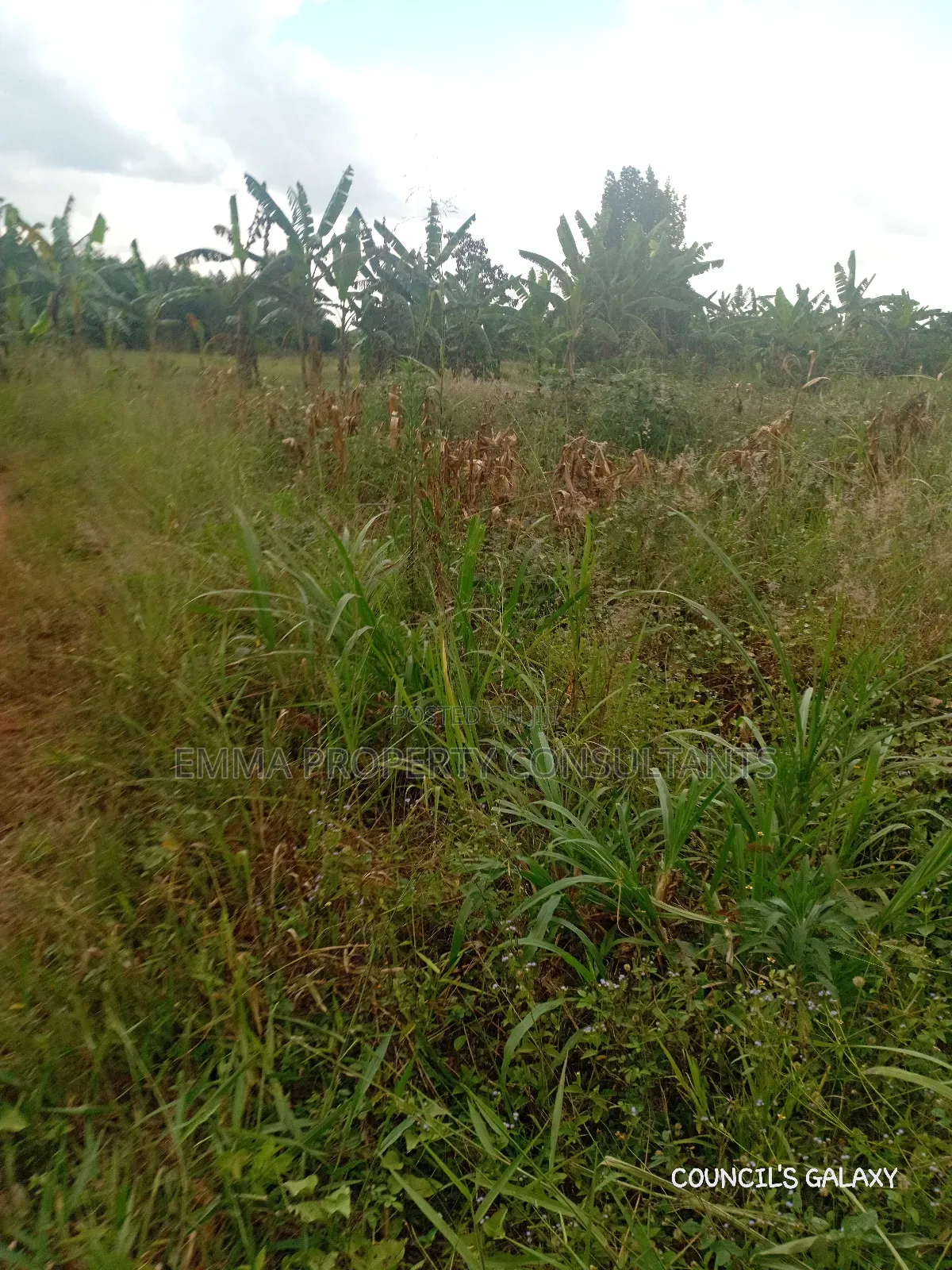 3 Acres for Sale With Ready Land Title on Ground