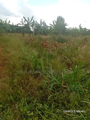 3 Acres for Sale With Ready Land Title on Ground