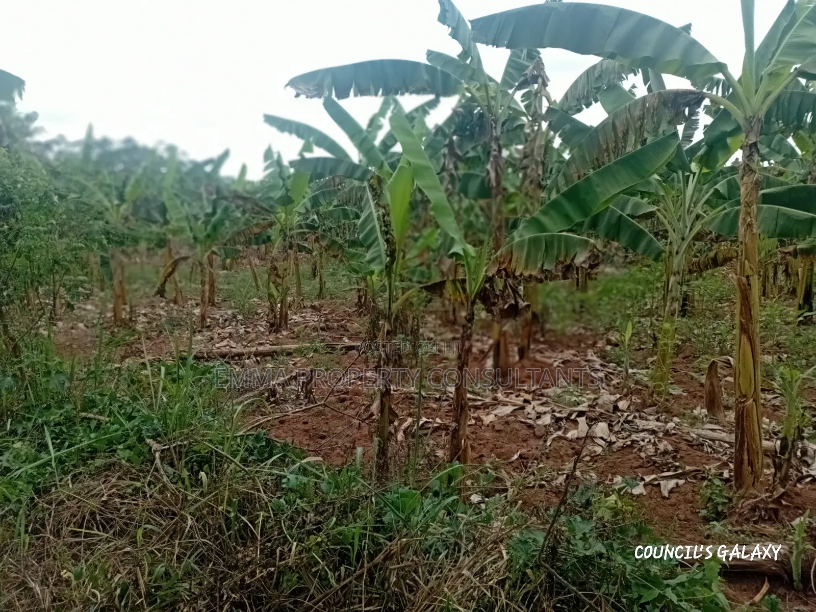 3 Acres for Sale With Ready Land Title on Ground