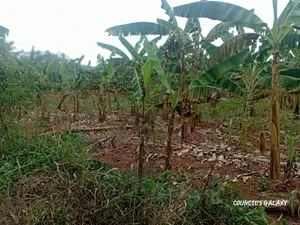 3 Acres for Sale With Ready Land Title on Ground