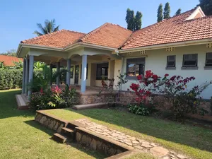 4bdrm House in Muyenga, Makindye for rent