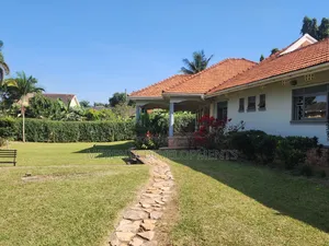 4bdrm House in Muyenga, Makindye for rent