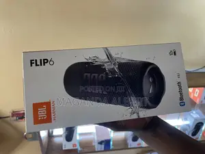 JBL Flip 6