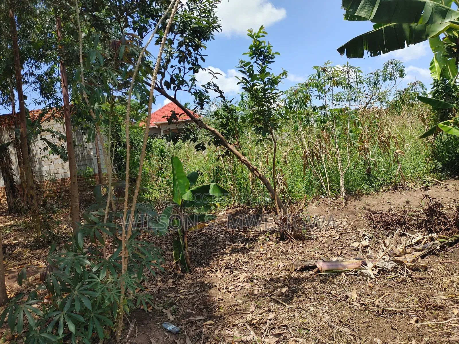 100ft by 100ft Plot in Buwalula Trading Centre, Mityana Road