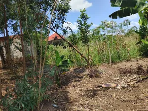 100ft by 100ft Plot in Buwalula Trading Centre, Mityana Road