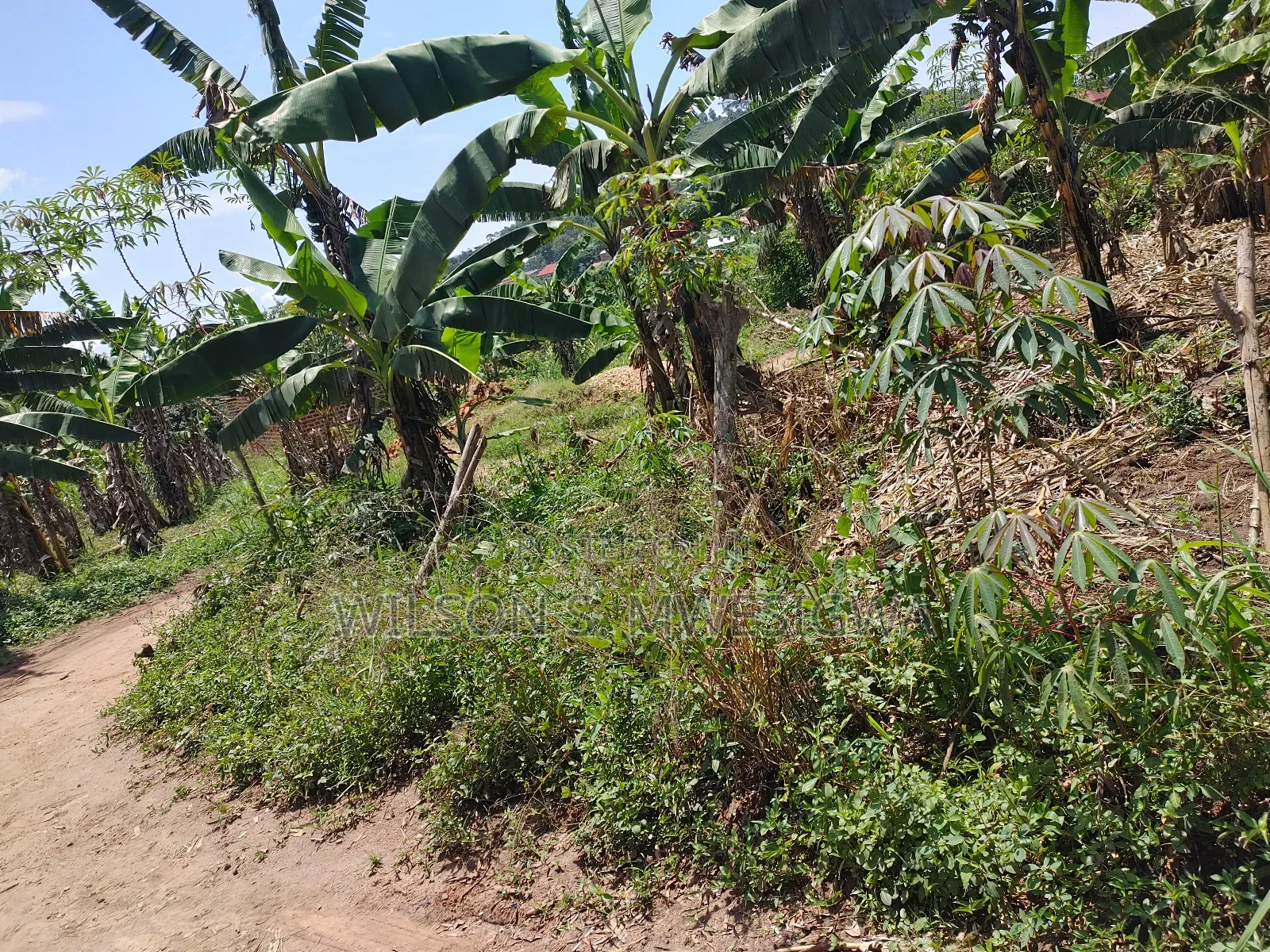 100ft by 100ft Plot in Buwalula Trading Centre, Mityana Road