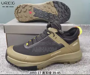 Classic Men Ecco Elastic Lace Water Proof Hiking Sneakers In Stock