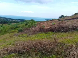 50by100ft in Buikwe Bubwa With a Land Title, Lake View in an Estae