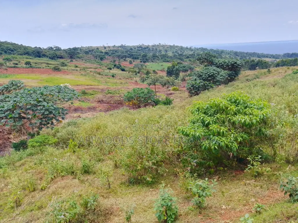 50by100ft in Buikwe Bubwa With a Land Title, Lake View in an Estae