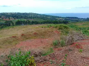 50by100ft in Buikwe Bubwa With a Land Title, Lake View in an Estae