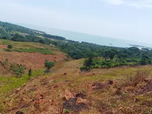 50by100ft in Buikwe Bubwa With a Land Title, Lake View in an Estae
