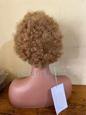 Afro Coco Wig