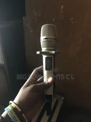 Sennchiezer Mic Original