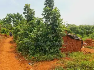 Plot for Sale at Wakiso Jimbo